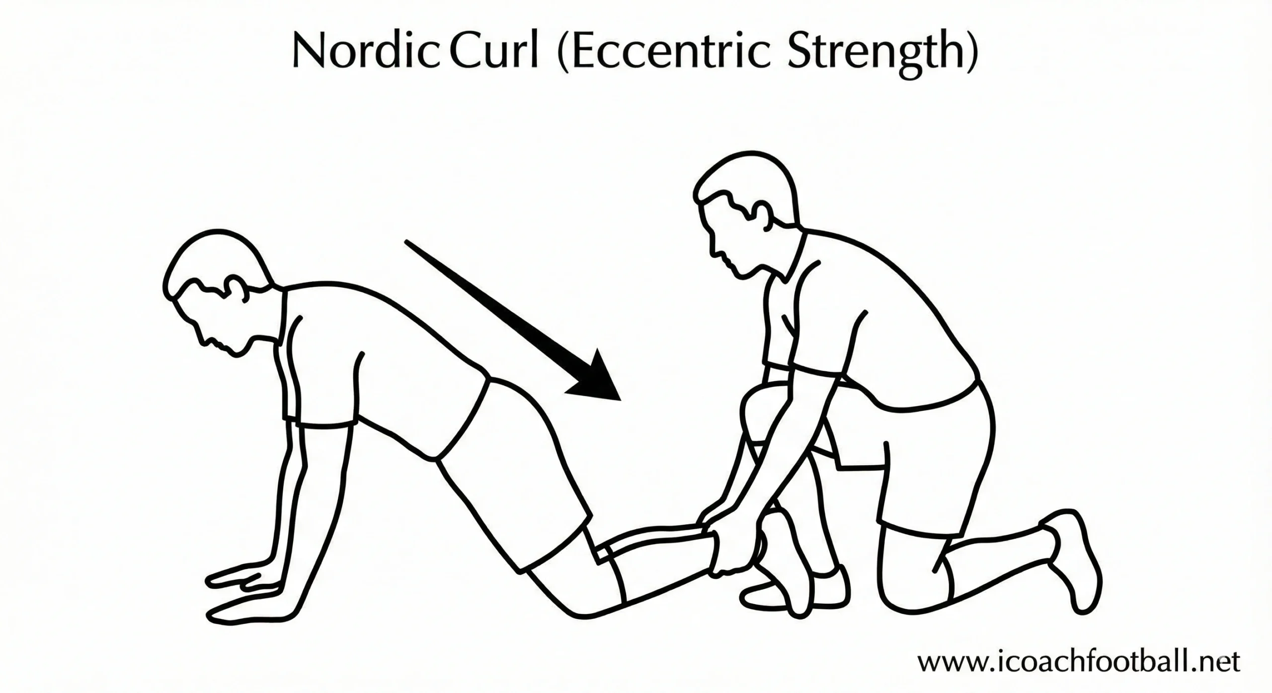 Nordic hamstring curl exercise diagram for soccer players