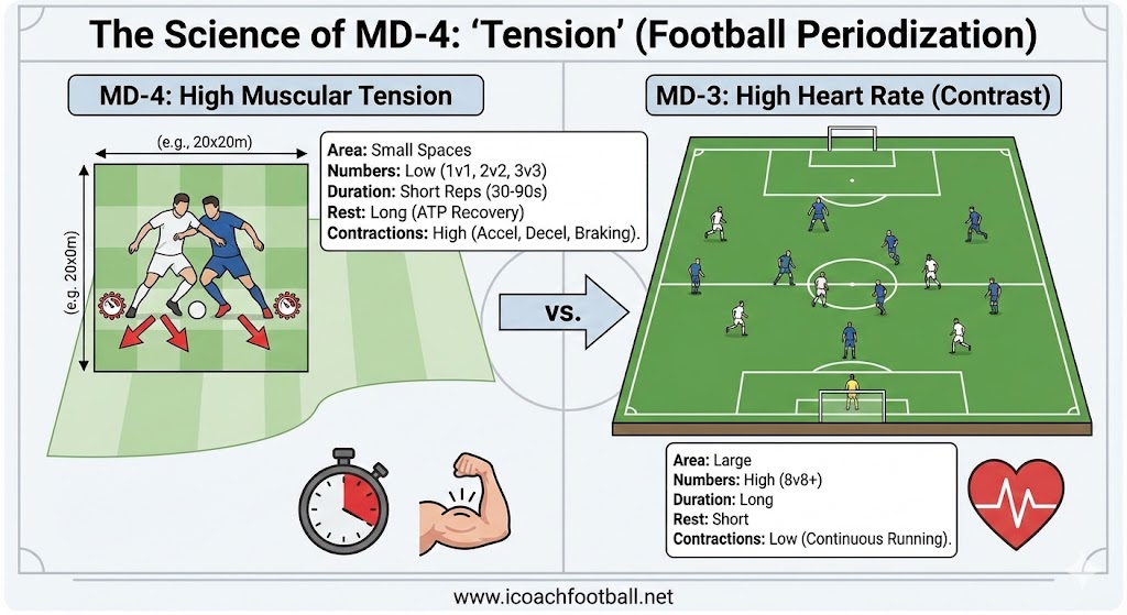 The MD-4 Protocol (Strength & Power) 2 Football Periodization Infographic comparing the science of MD-4 'Tension' training (small spaces, high muscular contractions, long rest) versus MD-3 'High Heart Rate' training (large spaces, continuous running, short rest).