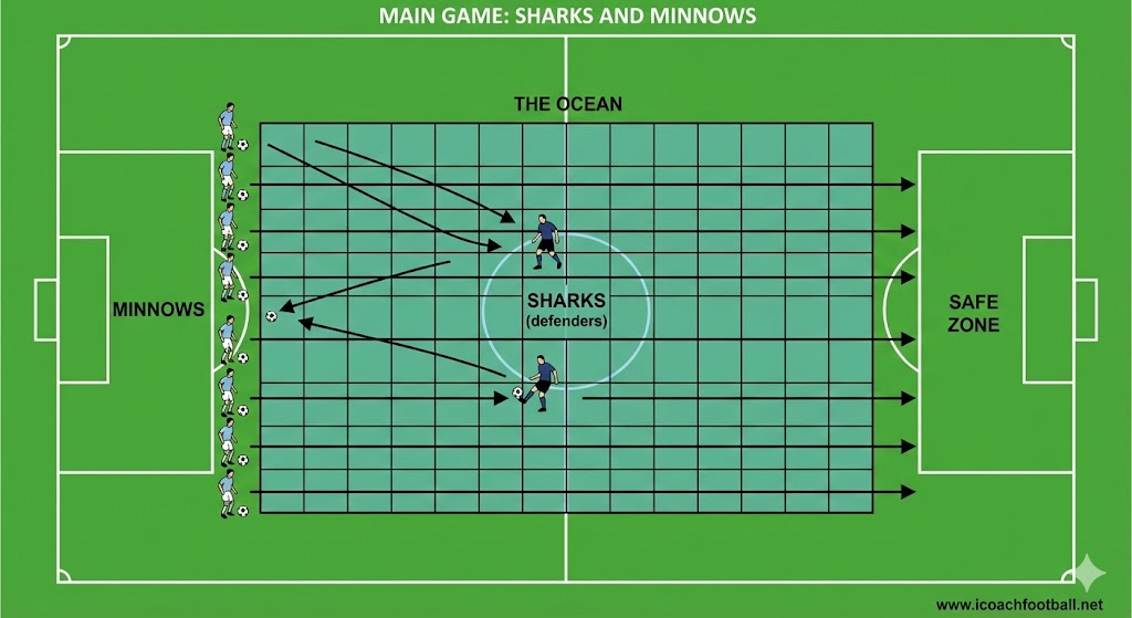 Sharks and Minnows drill